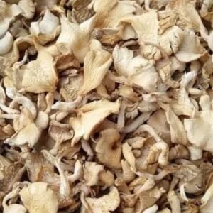 Dry Oyster Mushroom